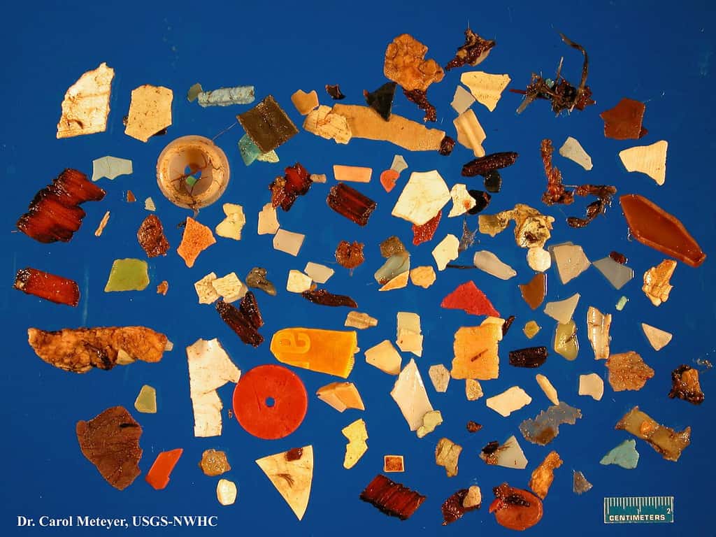 Ensemble des morceaux de plastique retirés de l'estomac d'un seul fulmar nord, un oiseau de mer, au cours d'une autopsie au Laboratoire national de la faune. © Carol Meteyer, USGS, CC by-nc 2.0