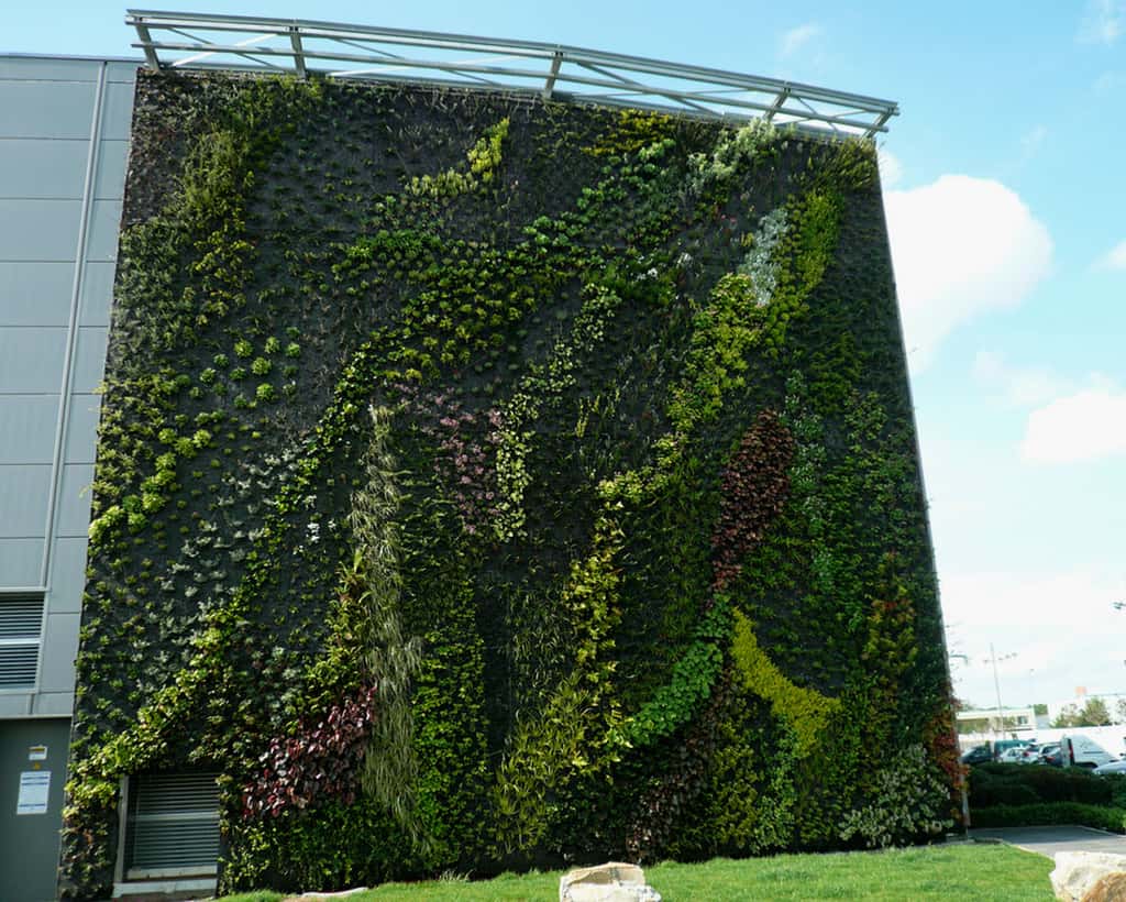 Mur végétal à Sainte-Geneviève-des-Bois, monté sur un géotextile. © Virginia Manso, CC by-nc 2.0