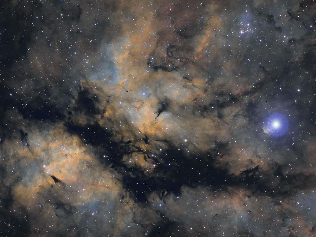 Nébulosités autour de Gamma du Cygne. © Bastien Foucher - Tous droits réservés