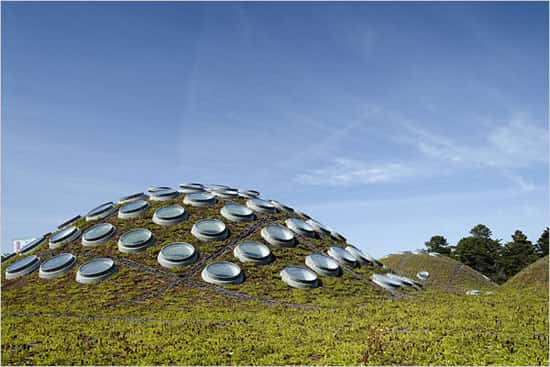 Le toit de l'Académie des Sciences de Californie est entièrement végétalisé. Il comporte également des panneaux solaires. © Tim Griffith, tous droits réservés