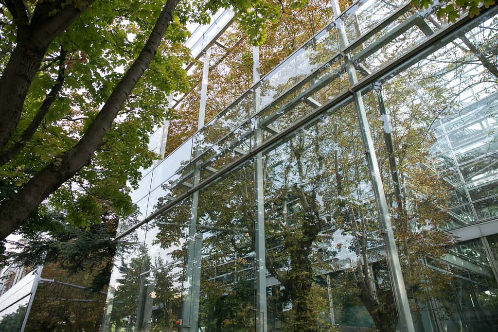 Achevé en 1994, le bâtiment de Jean Nouvel pour la fondation Cartier pour l’art contemporain symbolise la richesse et l’ambiguïté spatiale que permet la superposition de couches de verre transparent. © Wsifrancis, CC by-nc 2.0