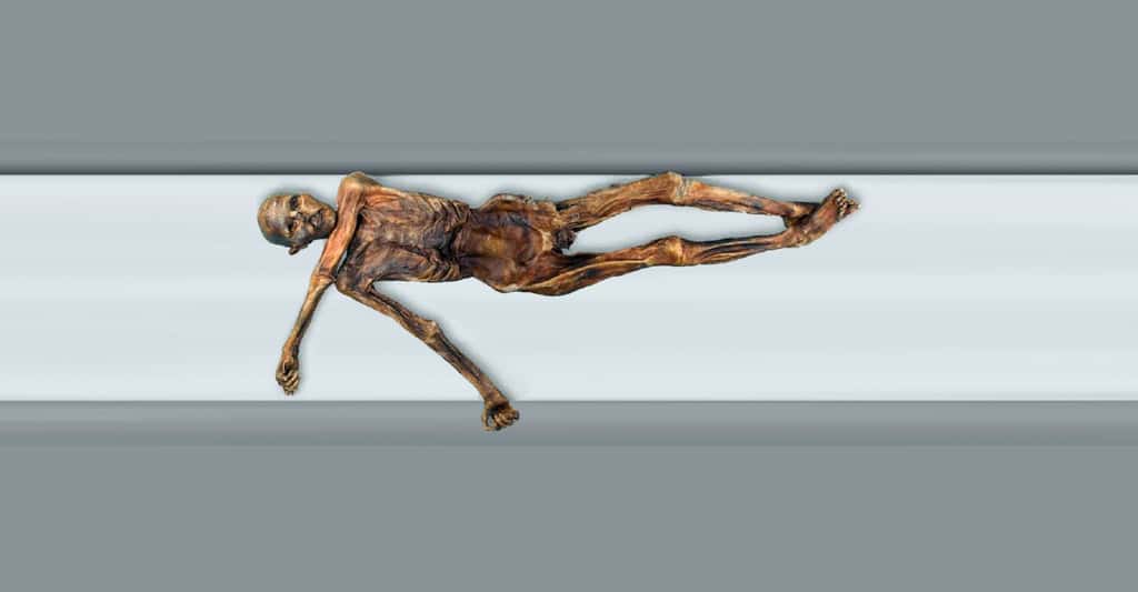 Le corps d'Ötzi scanné grâce à l'imagerie médicale
