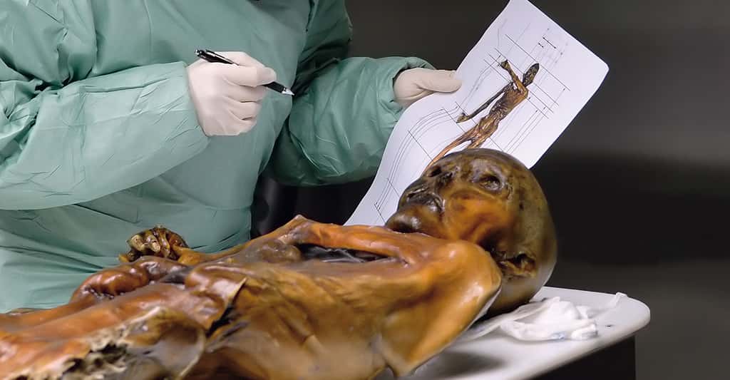 Le séquençage des gènes d’Ötzi
