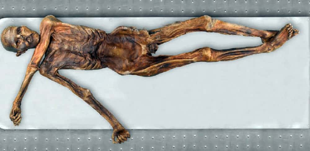 Ötzi vue générale. © Keller A. <em>et alii, New insights into the Tyrolean Iceman's origin and phenotype as inferred by whole-genome sequencing, Nature communications</em>, 2012