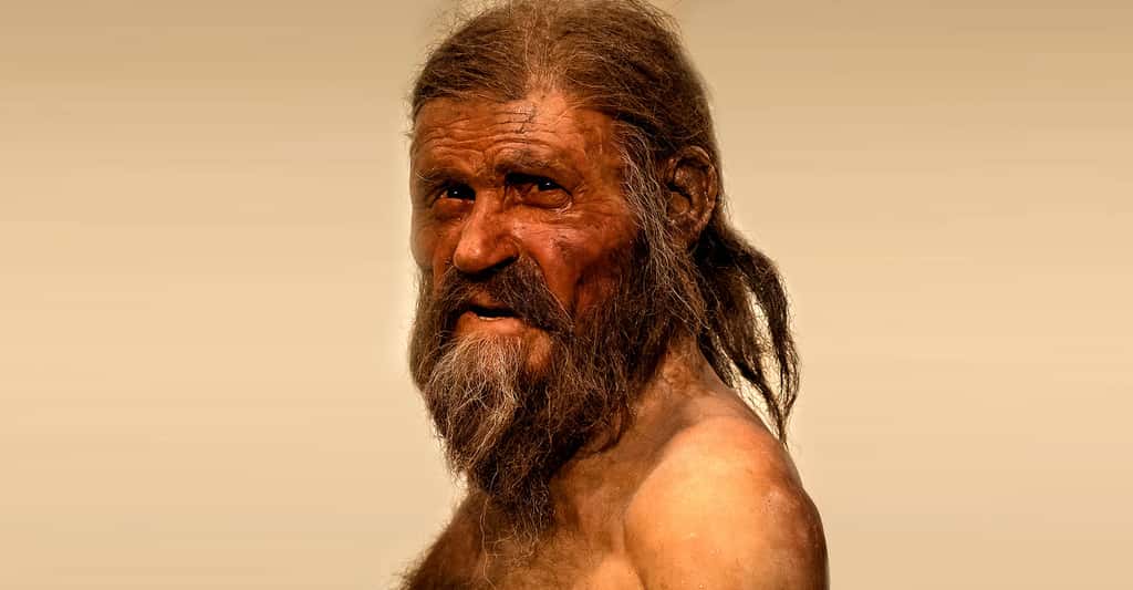 Une nouvelle étude suggère que Ötzi aurait eu la peau foncée et aurait été porteur d'une calvitie, contrairement à ce que l'on pensait jusqu'à présent. © Gumtau, Flickr, CC by-nc-sa 2.0