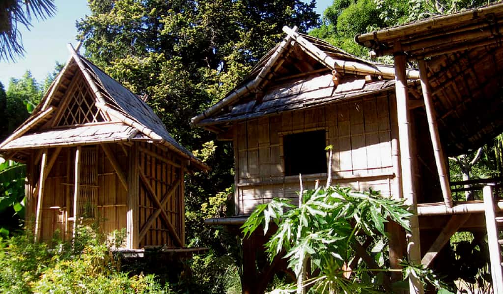 Les maisons Lao de la bambouseraie d'Anduze sont entièrement réalisées en bambous. © AB - Tous droits réservés 