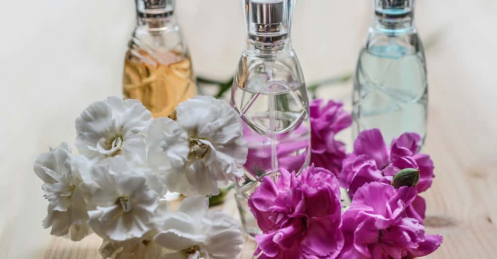 Le message des produits odorants, comme les parfums. © Monicore, Pixabay, DP