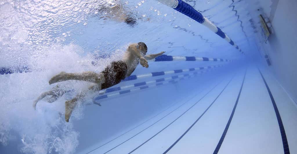 Entretenir son dos par la natation. © 12019, Pixabay, DP