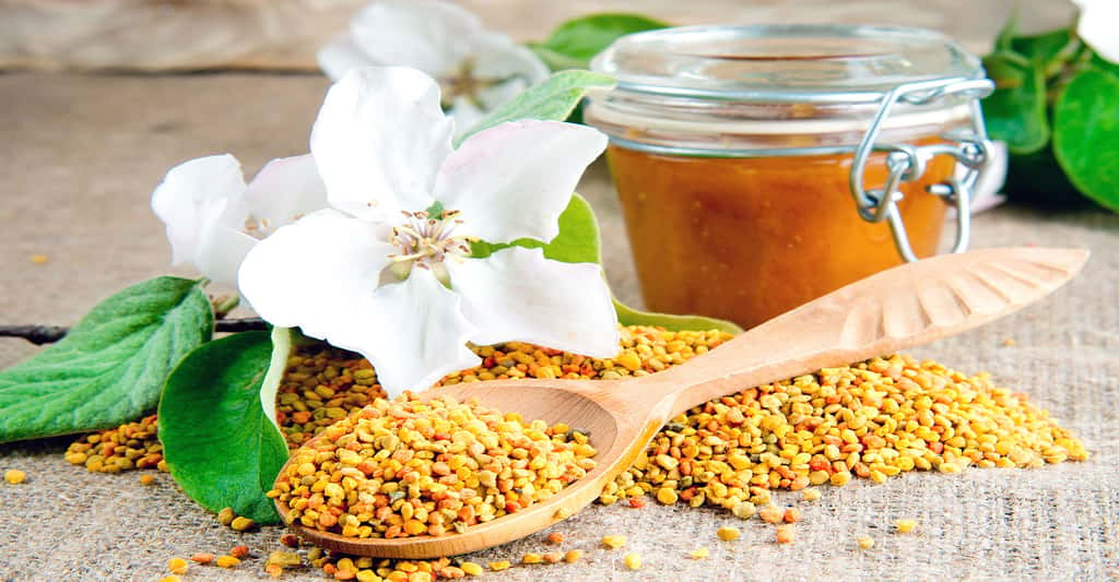Les grains de pollen sont des compléments alimentaires naturels. © Nata-lunata, Shutterstock 