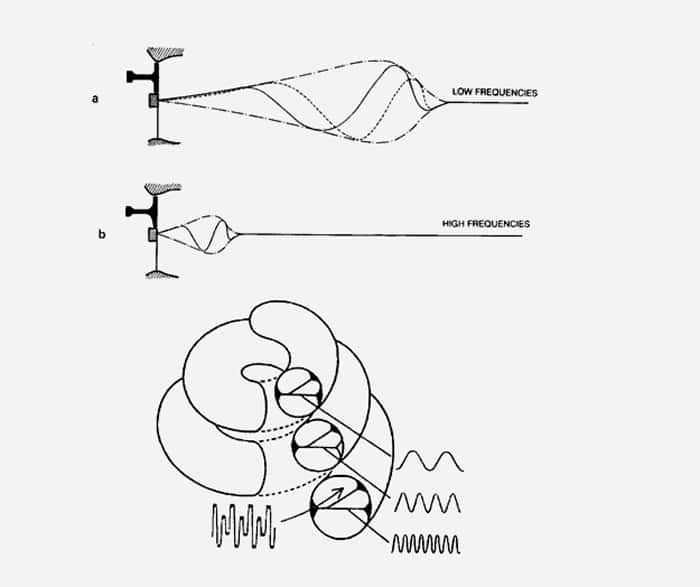 Histoire de l'acoustique : de Fourier à Helmholtz