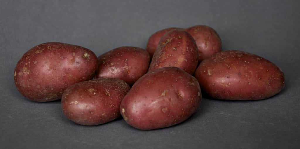 Pommes de terre roseval. © Susanne, CC by-nc 2.0