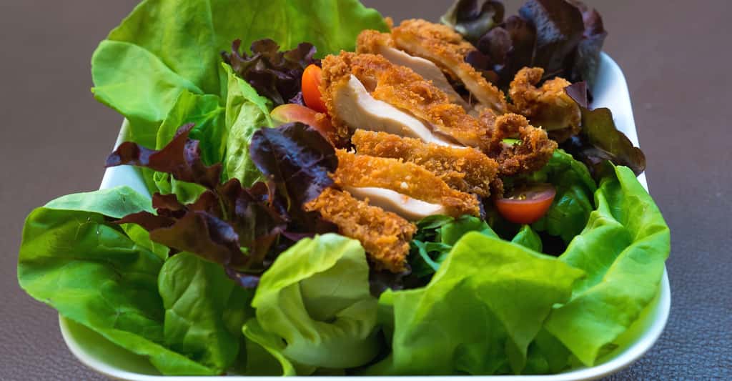 Salades vertes : de délicieuses variétés à cultiver. © Khlungcenter, Shutterstock