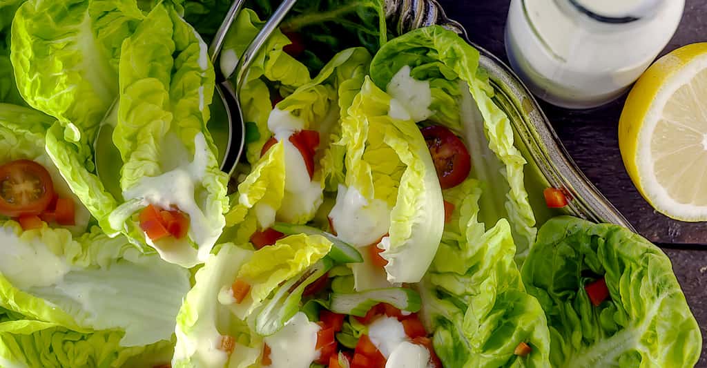 La romaine est croquante et idéale pour les salades composées de l'été. © Stu120, Shutterstock