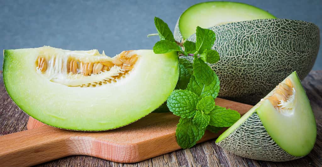 Pourquoi ne pas cultiver du melon chez soi ? Ici, un melon vert brodé. © Still AB, Shutterstock