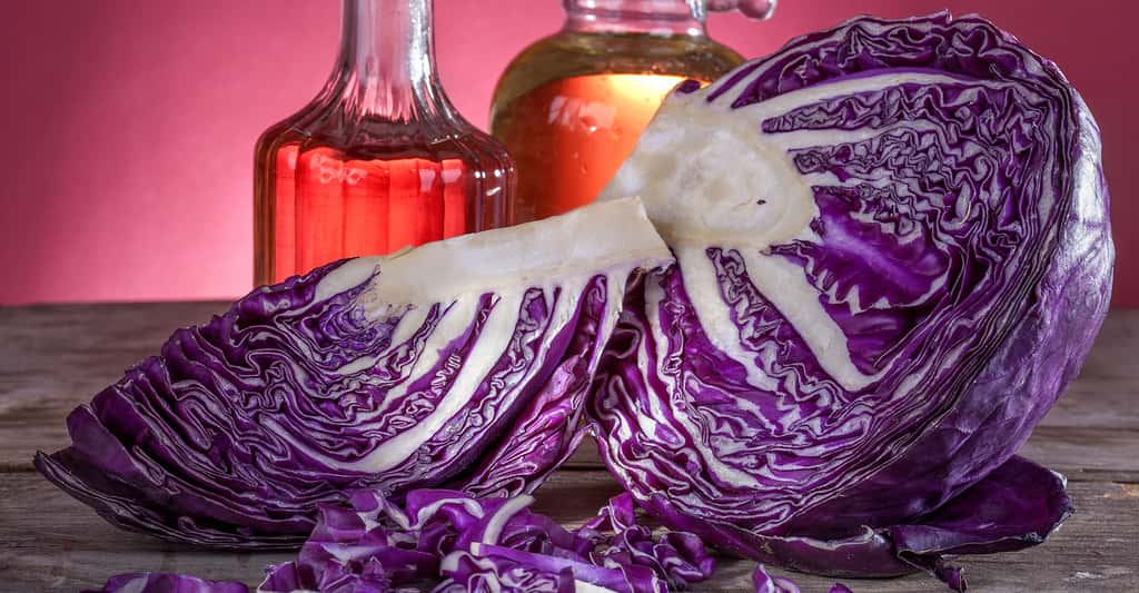 Le chou rouge est toujours délicieux en salade. © Ddsign, Shutterstock