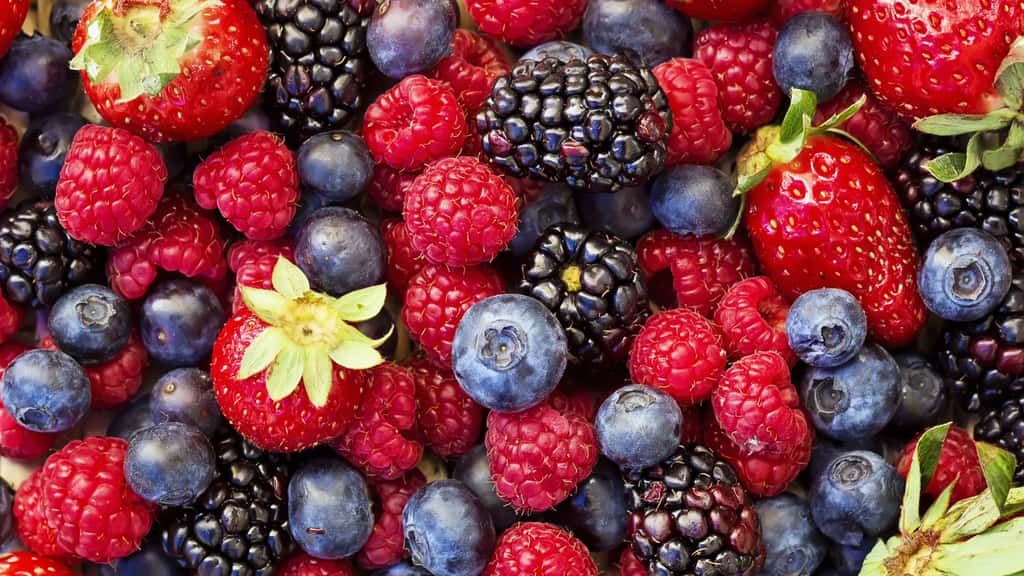 Les délicieux petits fruits rouges de votre jardin