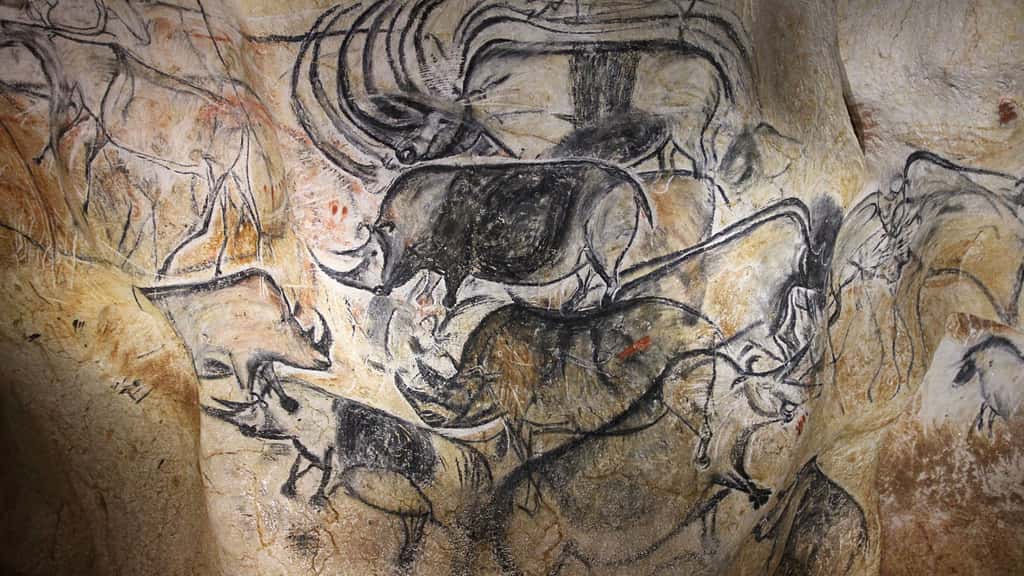 Panneau des lions (centre gauche), rhinocéros en fuite (démultiplication de la corne). Dessins au charbon de bois avec estompe, détourage au silex. Caverne du Pont d’Arc (copie de la grotte Chauvet). © Claude Valette, CC by-nc 4.0