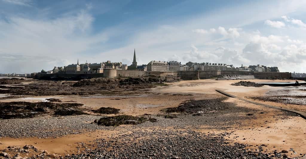 Faire du tourisme en Ille-et-Vilaine, c'est, par exemple, visiter Saint-Malo. Ici, la ville intra-muros vue depuis le Grand Bé, une île inhabitée, à marée basse. © Stephanemartin, CC by-sa 3.0