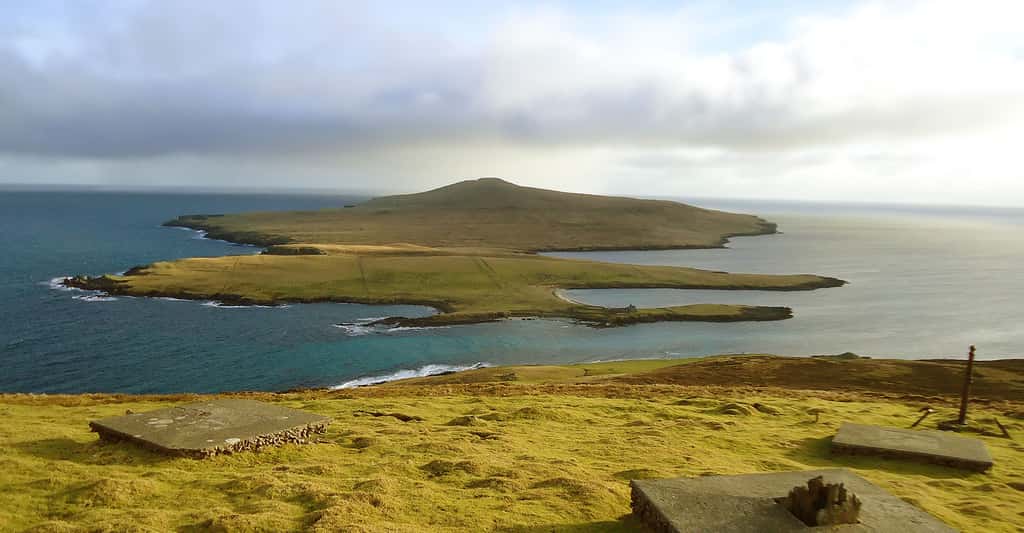 L'île de Noss, dans l'archipel des Shetland, en Écosse. © Vicky Brock, <em>Wikimedia Commons</em>, CC by-sa 2.0