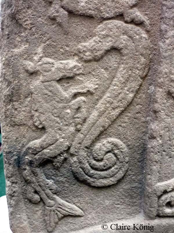 Détail d'un hippocampe sur une pierre picte, à Easter Ross Meigle. © Claire König, DR