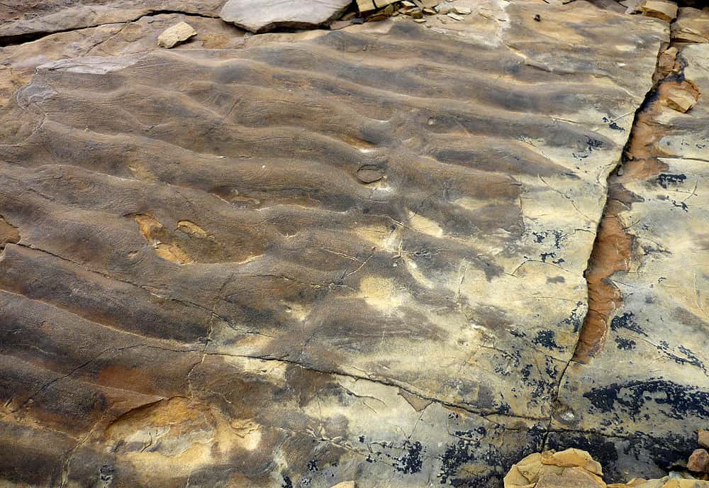 Érosion avec dessiccation fossile du lac asséché (<em>ripple-marks</em>). © Claire König, DR