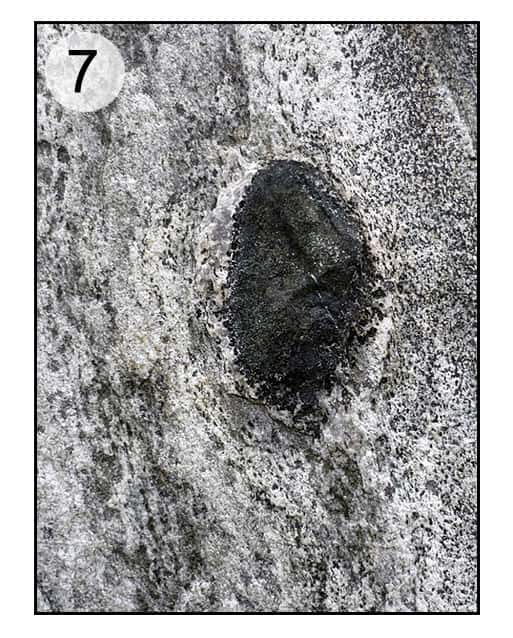 En 7, gneiss, morceau de roche basique. © Claire König, DR