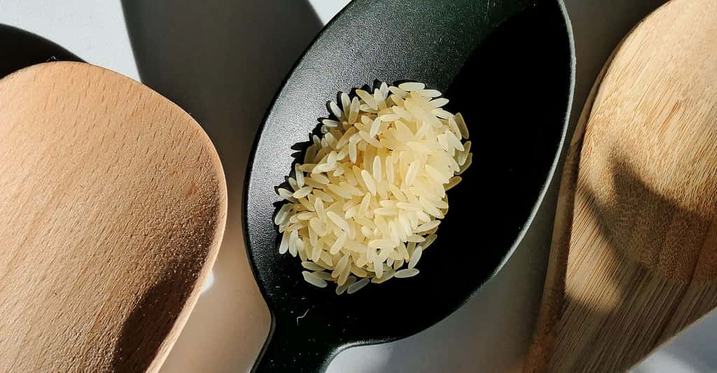 Découvrez tout de la culture du riz. © Moritz320, Pixabay, DP