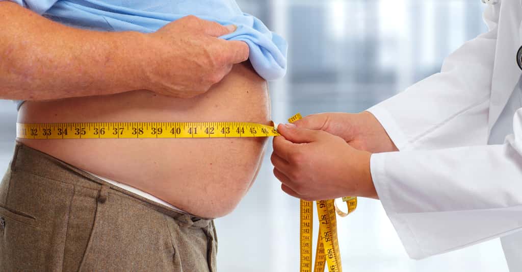 L'IMC estime le degré d'obésité. © Kurhan, Shutterstock