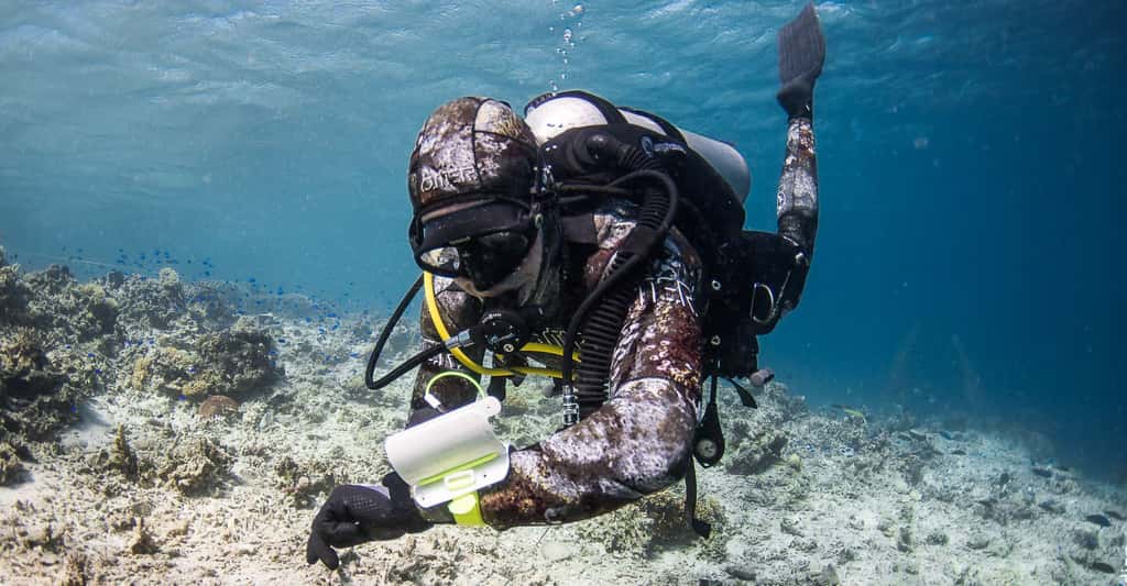 Comment faire pour protéger les coraux ? Ici, plongée de reconnaissance sur une zone de récifs endommagés. © Guillaume Holzer, Coral Guardian, tous droits réservés