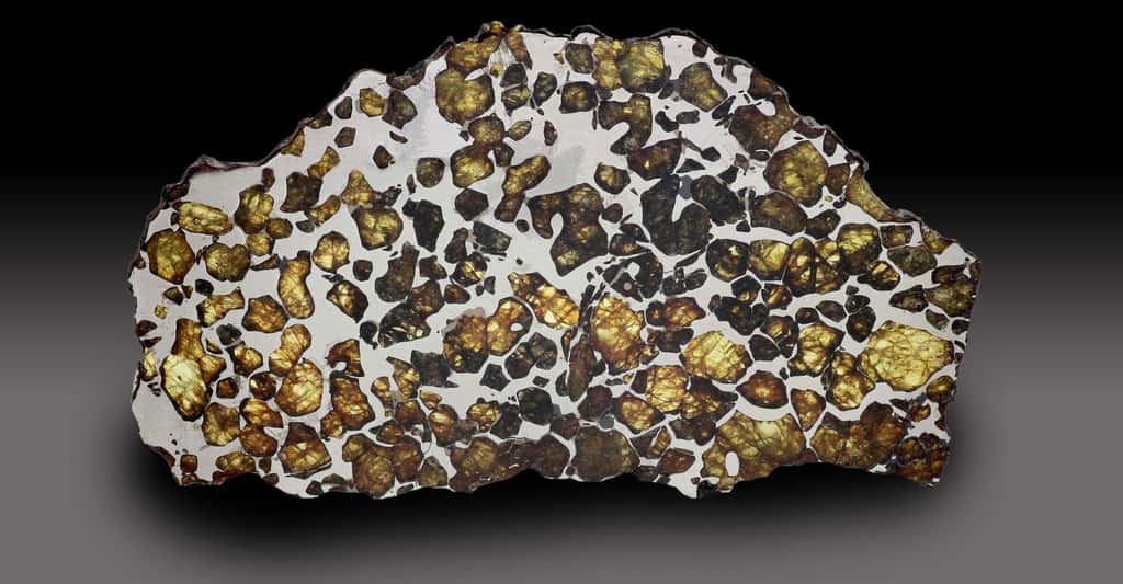 Les pallasites sont des météorites contenant du fer et des inclusions de silicates, en particulier de l'olivine. © Matteo Chinellato, Shutterstock