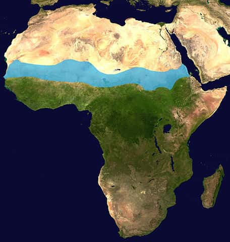 Carte du Sahel en bleu. © Flockedereisbaer, <em>Wikimedia commons</em>, CC 3.0 Germany