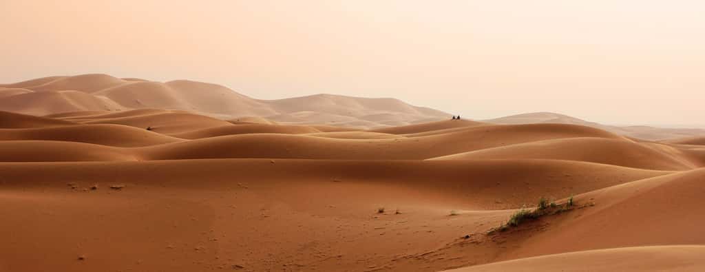 L'avancée des déserts semble irrémédiable. © GregMontani, Pixabay, DP