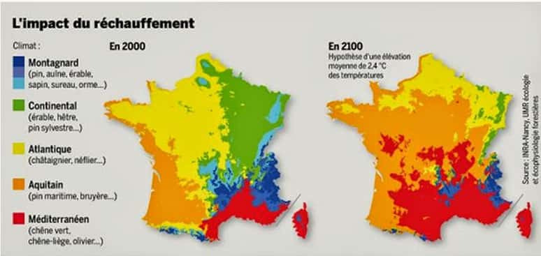 Projection de la mutation des gros sujets (pins, chênes, châtaigniers, érables...) d'ici 2100 en France.