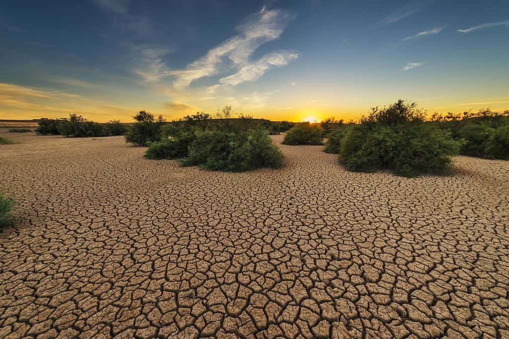 La terre craquelée : signe de sécheresse. © Josealbafotos, Pixabay, DP