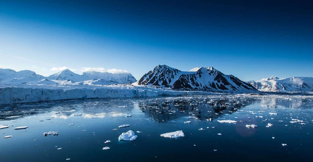 Spitzberg est une île de Norvège située dans le Svalbard. Un certain nombre de découvertes, au Spitzberg, en Alaska, en Sibérie, en Australie, en Antarctique, ont révélé la présence de dinosaures dans des régions qui, au Mésozoïque, se trouvaient au-delà du cercle polaire, ou à proximité.© Kris Grabiec, Shutterstock