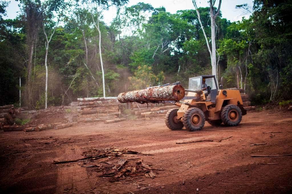 L'Amazonie est menacée par l'agriculture mais aussi l'extraction minière illégale de l'or et d'autres métaux, causes directes de la déforestation. © Marcio Isensee e Sá, Adobe Stock 