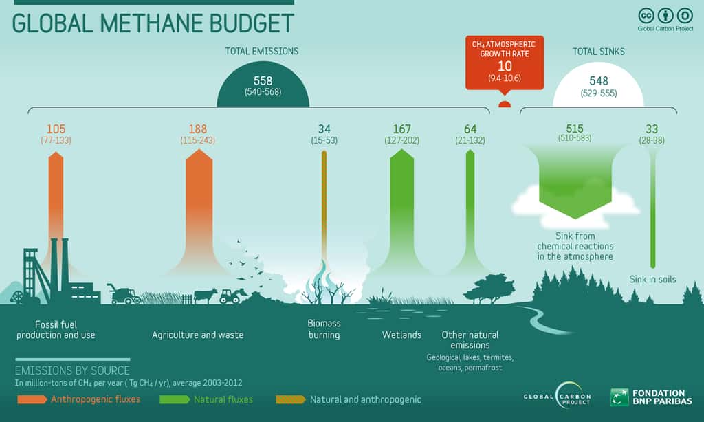 Schéma présentant les principales sources de méthane, réalisé à l'occasion du premier rapport mondial faisant le point sur les émissions globales de méthane. © Global carbon project, <em>Wikimedia commons</em>, CC 4.0