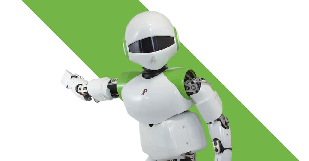 Pino, un exemple des premiers robots humanoïdes. © <em>Symbiotic Systems Project</em>