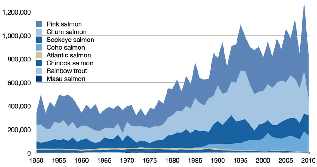 Capture commerciale de toutes les espèces de saumons sauvages entre 1950 et 2010. © Epipelagic, <em>Wikimedia commons,</em> CC by-sa 3.0