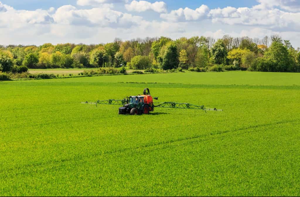 Le glyphosate, l'herbicide le plus utilisé dans le monde