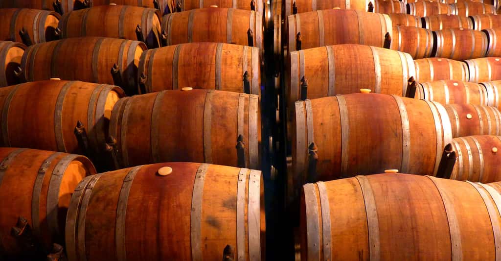 Comment transformer le raisin en vin ? Ici, des tonneaux de vin. © LoggaWiggler CCO