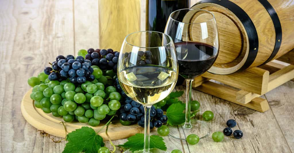 Comment bien faire vieillir un vin ? Ici, du vin blanc et du vin rouge. © WDnetStudio, Domaine public