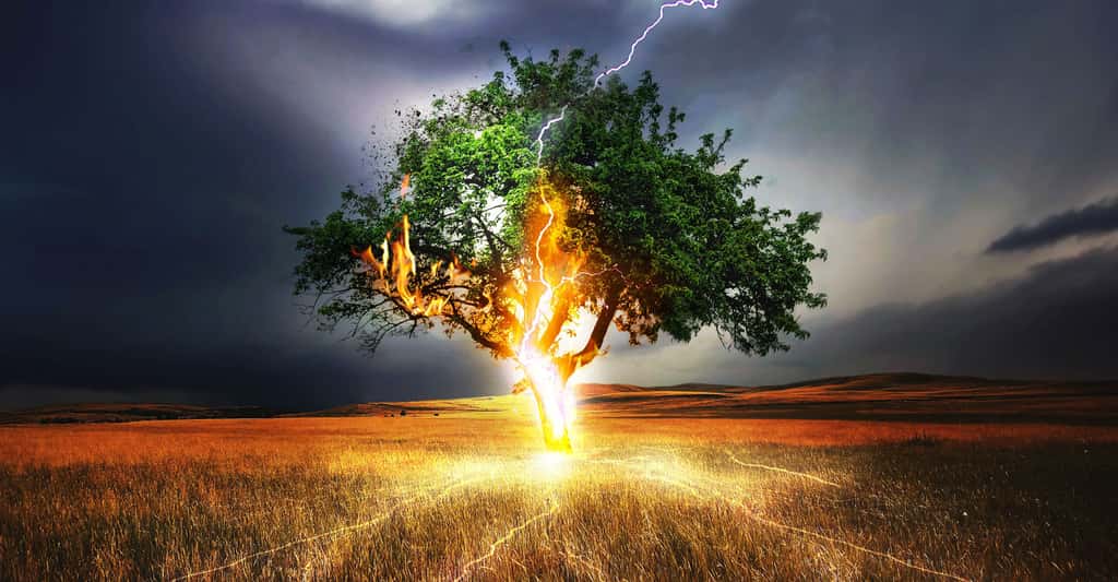 L'orage peut être l'un des facteurs de départ de feu de forêt. © Comfreak CC0