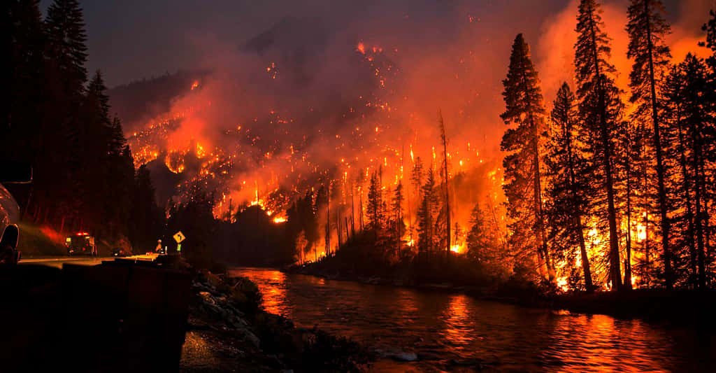 Le feu près de Chiwaukum États-Unis en juillet 2014. © Washington DNR, CC by-nc 2.0