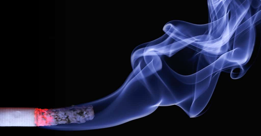 Il y a une augmentation significative du taux de mortalité en fonction des quantités de tabac consommées.© Realworkhard, CC0 Domaine public
