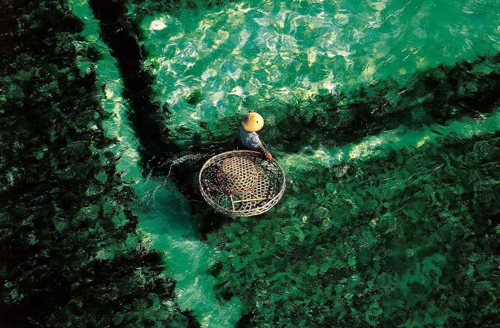 Récolte des algues, Bali, Indonésie (8°17’ S - 115°06’ E). L’eau étant susceptible, comme la terre ferme, de fournir des produits commercialisables, il suffit de remplacer l’ager (ou agri, le champ) par l’aqua (l’eau) pour passer d’une agriculture à une aquaculture, d’un élevage de volailles à une exploitation piscicole. © Yann Arthus-Bertrand - Tous droits réservés 