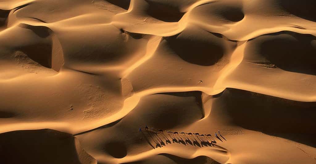 Le Sahara, plus grand désert de sable du monde, couvre 9.000.000 km² (l'équivalent des États-Unis) répartis sur 11 pays. © Yann Arthus-Bertrand - Tous droits réservés