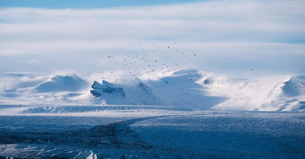 Il existe des glaciers au niveau des pôles mais aussi des glaciers tropicaux et des glaciers tempérés. Ici, un paysage glaciaire. © Unsplash, DP