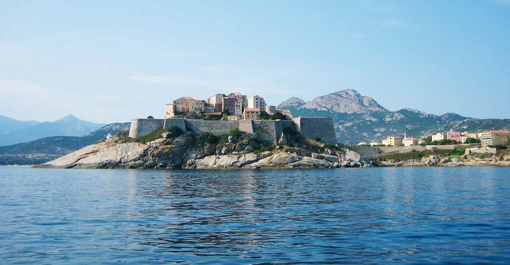 Vue de la citadelle de Calvi. © VokaGraphic, Pixabay, DP