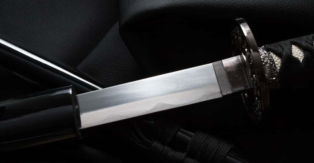 Épée en fer. © Loginovworkshop, Shutterstock